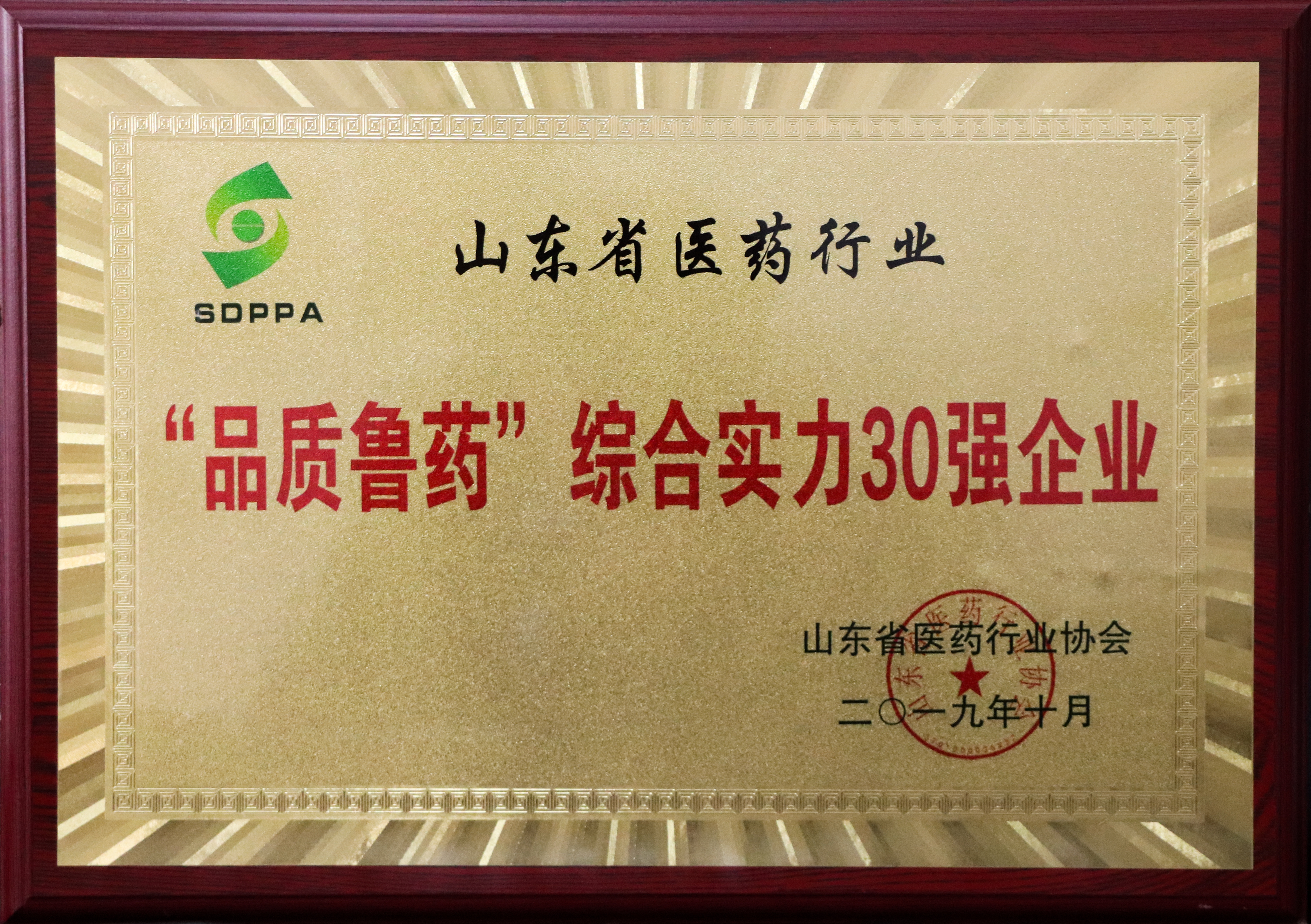 “品質魯藥”綜合實力30強企業.JPG